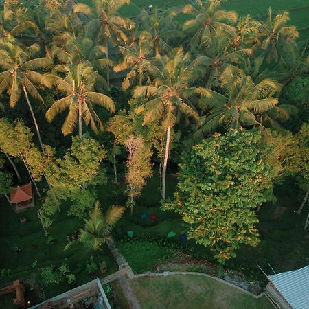Hotel Bali Made Escape Payangan Exteriér fotografie
