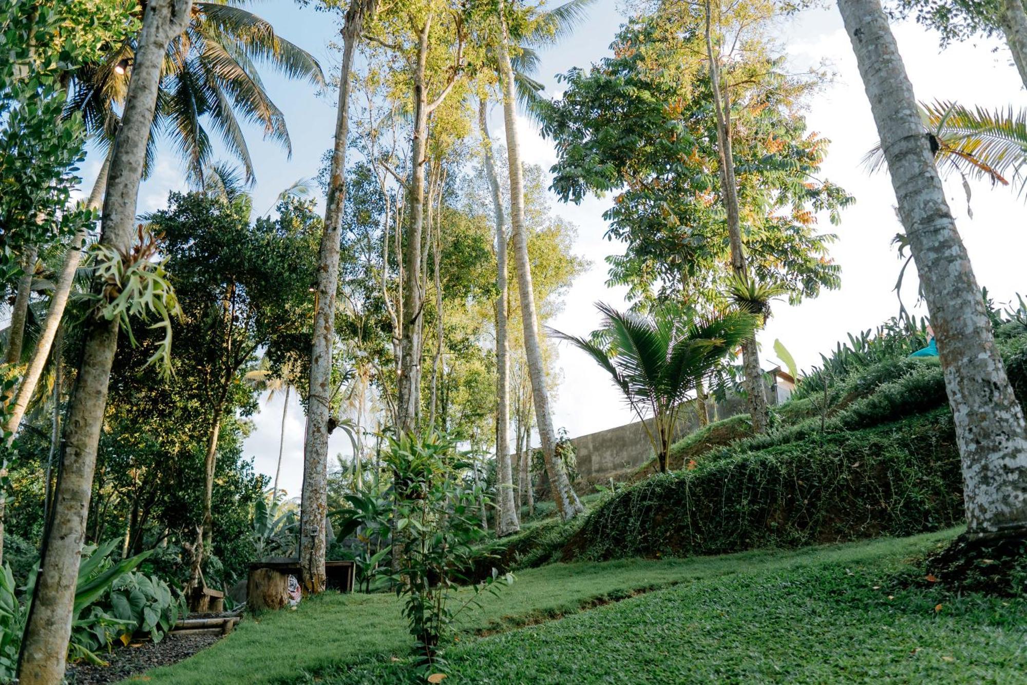 Hotel Bali Made Escape Payangan Exteriér fotografie