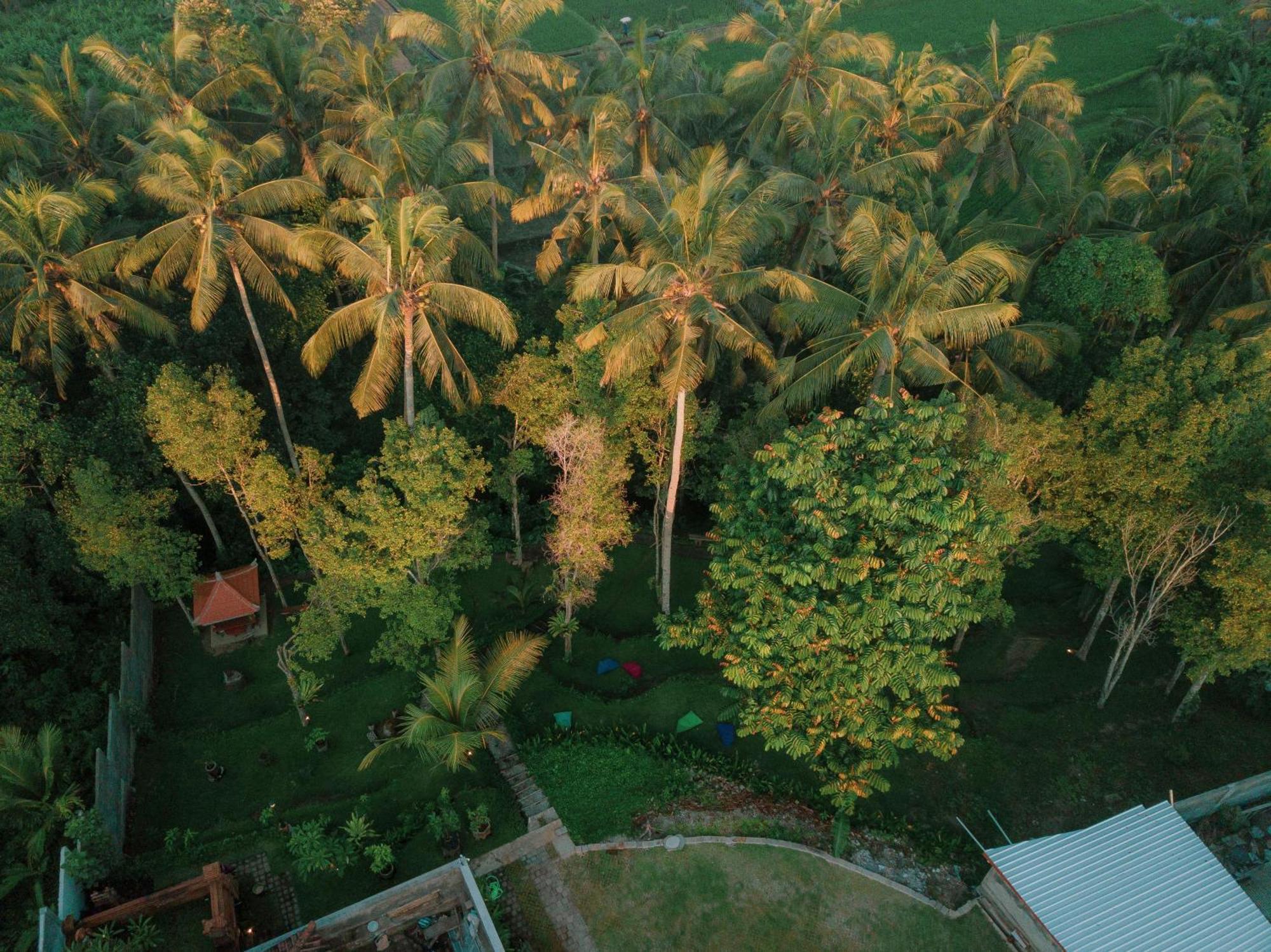 Hotel Bali Made Escape Payangan Exteriér fotografie